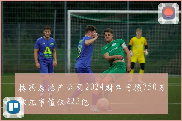 梅西房地产公司2024财年亏损750万欧元市值仅223亿