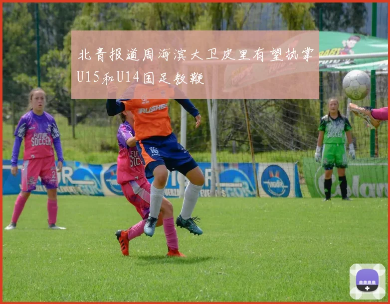 北青报道周海滨大卫皮里有望执掌U15和U14国足教鞭