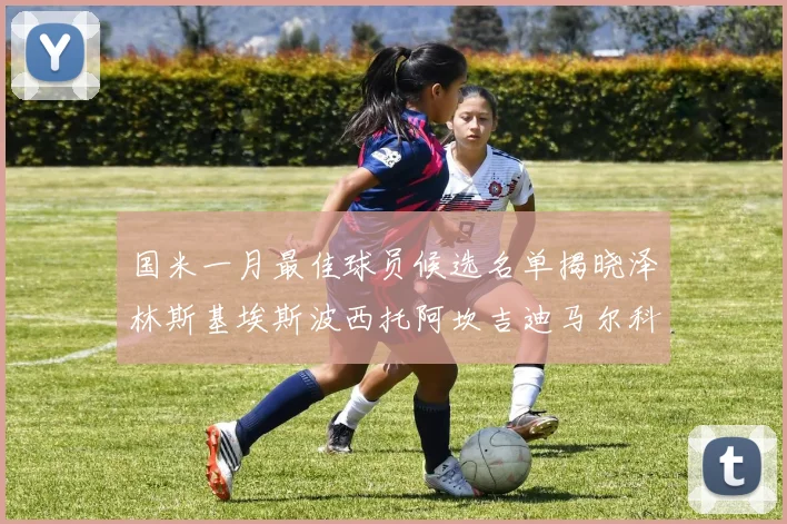 国米一月最佳球员候选名单揭晓泽林斯基埃斯波西托阿坎吉迪马尔科争夺荣誉
