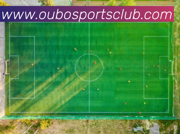 欧宝体育平台生态图