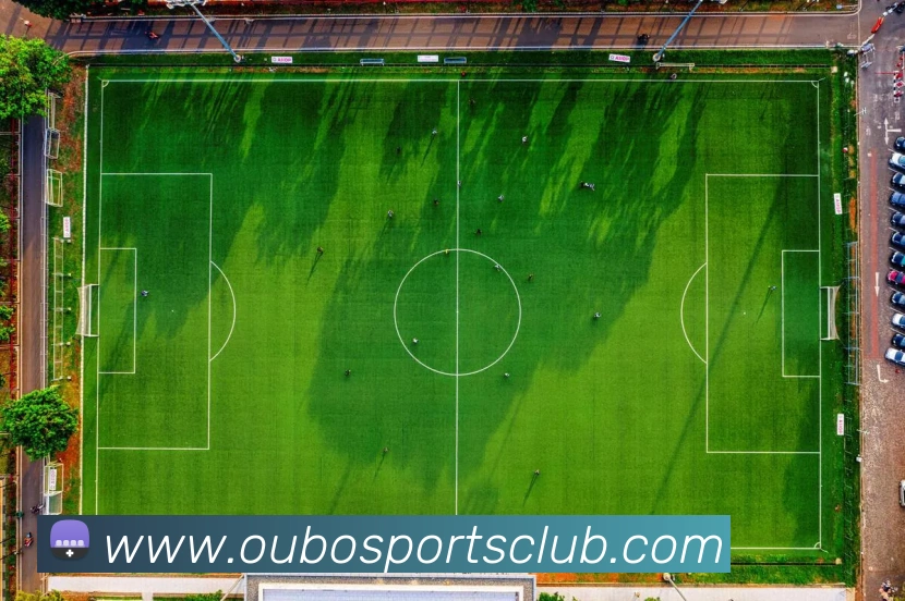 欧宝体育APP 封面图